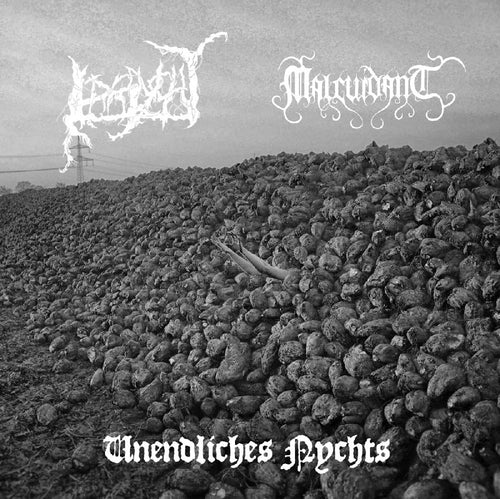 Irrlycht / Malcuidant - Unendliches Nychts split GATEFOLD LP